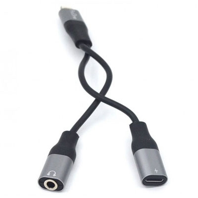 کابل تبدیل لایتنینگ به AUX/USB-C پرووان PCA46
